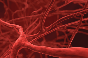 Read more about the article A Guide to the Various Types of Vein Disease and Their Characteristics